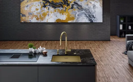 FRANKE Design K�chensp�le Mythos Masterpiece BXM 210/110-40 Edelstahlsp�le Gold F-INOX 3 in 1 Siebkorb als Stopfenventil