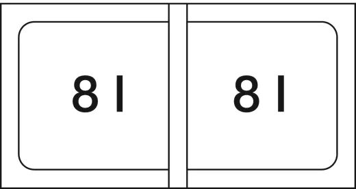 BLANCO Abfalltrennsystem Flexon II 30/2 Abfallsystem mit Systemdeckel zum Einbau in Schubksten ab 30cm Unterschrank