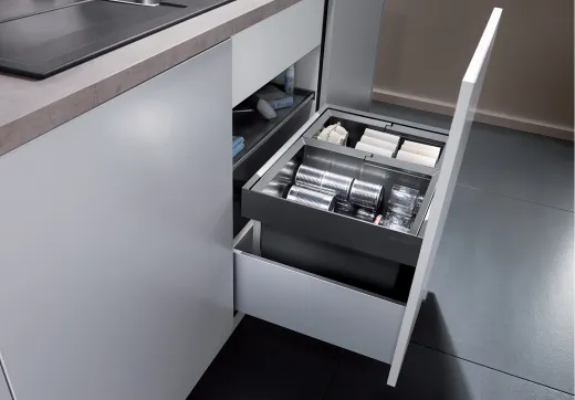 ✅ BLANCO Abfalltrennsystem Flexon II 60/2 Abfallsystem mit Systemdeckel zum Einbau in Schubksten ab 60cm Unterschrank