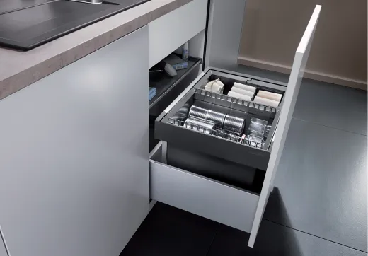 ✅ BLANCO Abfalltrennsystem Flexon II 60/2 Abfallsystem mit Systemdeckel zum Einbau in Schubksten ab 60cm Unterschrank